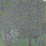 Gustav Klimt Rose Bushes Under the Trees (mk20) oil painting